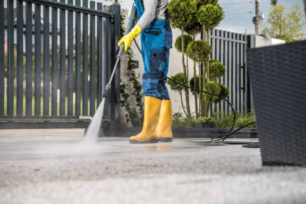 Best Roof Power Washing Services  in South Hill, NY